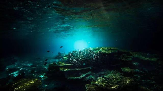 《深海迷航》体验海底8000米是什么样的感觉